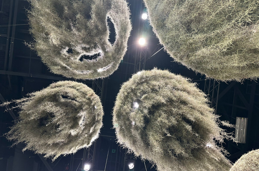 Art basel miami
