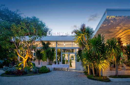 Gallery Night at Plant The Future: A Celebration of Biophilic Art in Miami