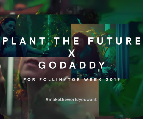 Godaddy - Pollinator Week – PLANT THE FUTURE