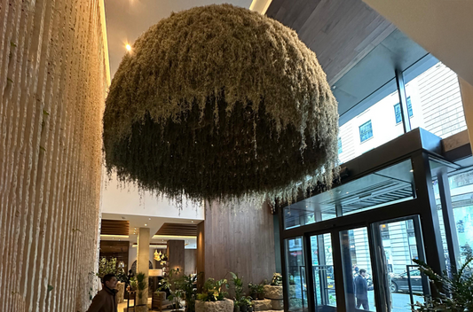 biophilic design interior