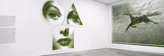 Botanical Art Designed by a Miami Artist