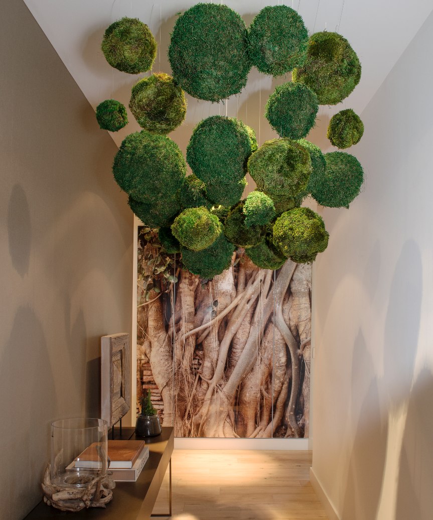 Image showcasing Plant Decor Ideas for Living Rooms and Balconies – PLANT THE FUTURE
