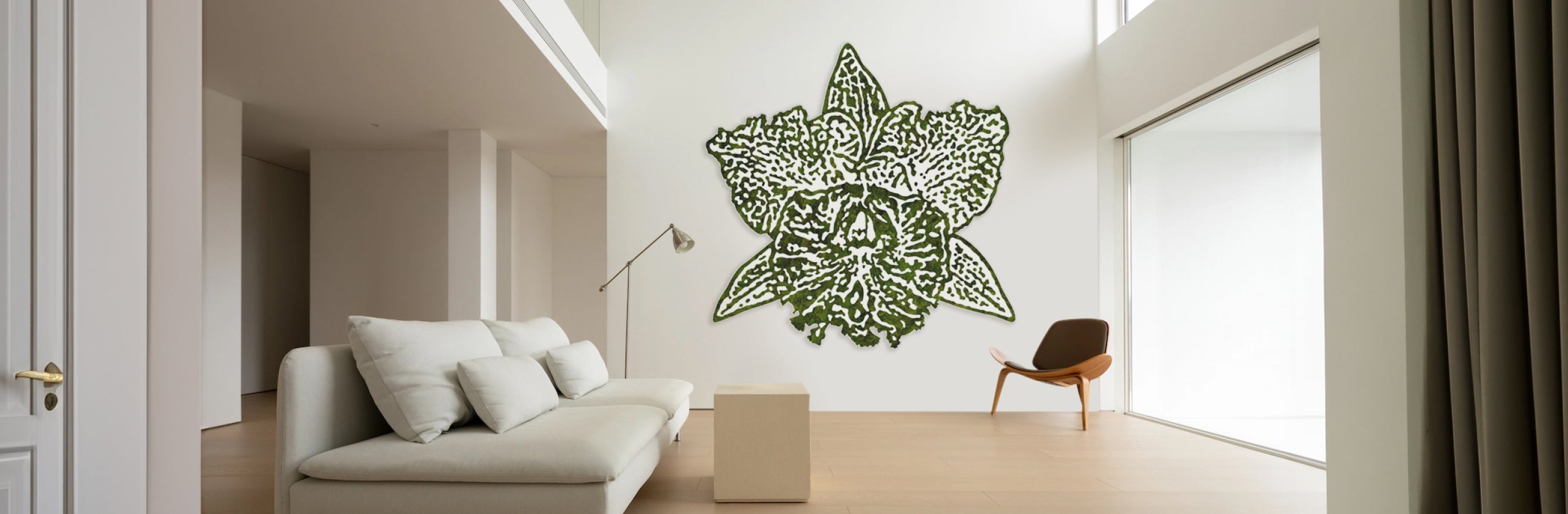 Orchids – Single Flower Series | Plant Art – Plant the Future