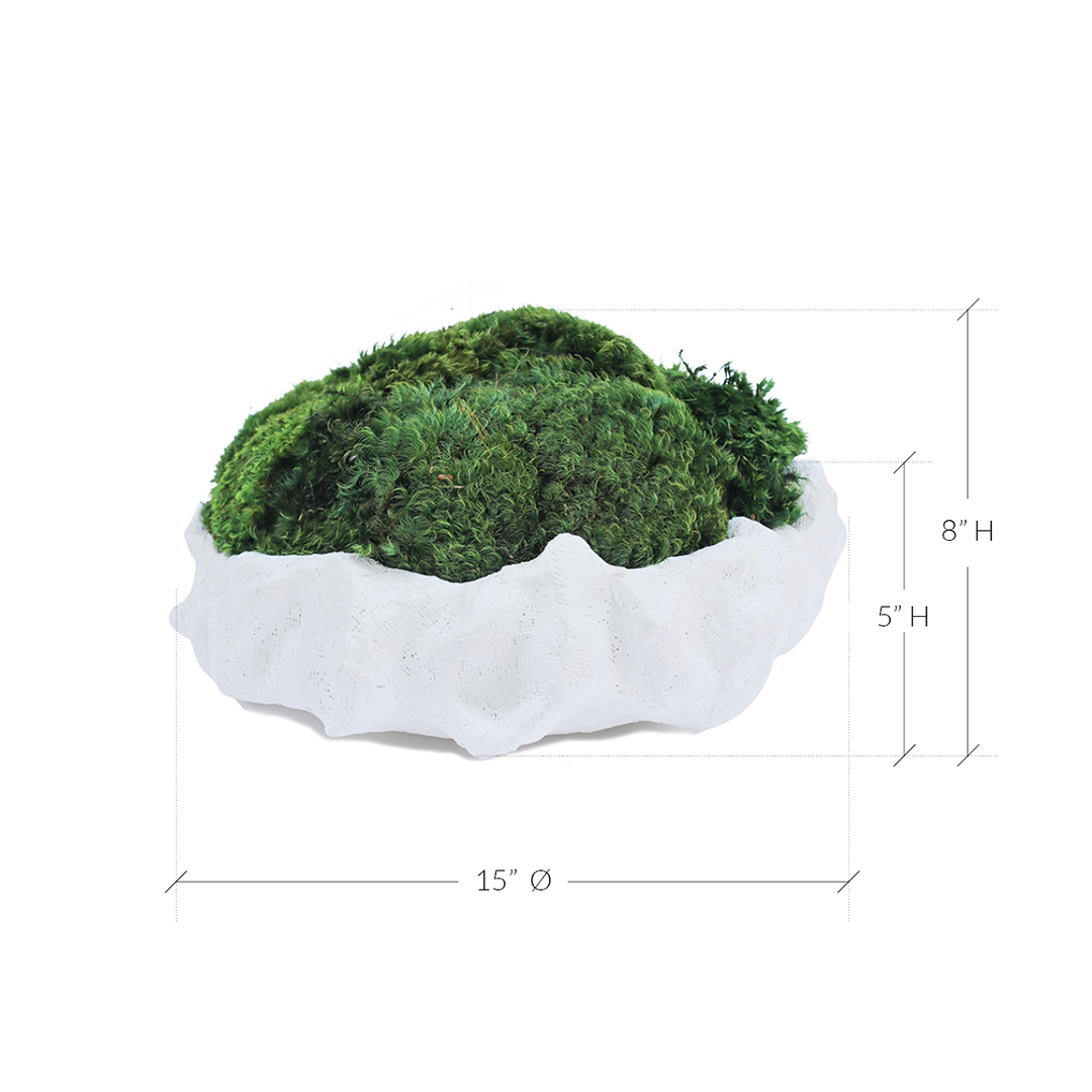 Julieta Teppa - One of a Kind White No.9 Round Moss 15"