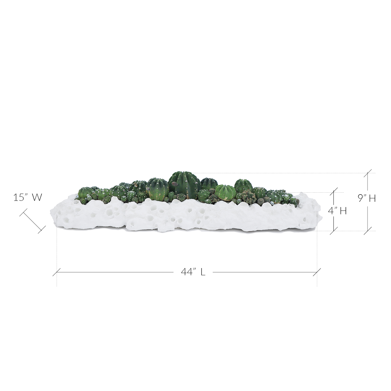 Julieta Teppa - One of a Kind White No.7 Trough Cacti