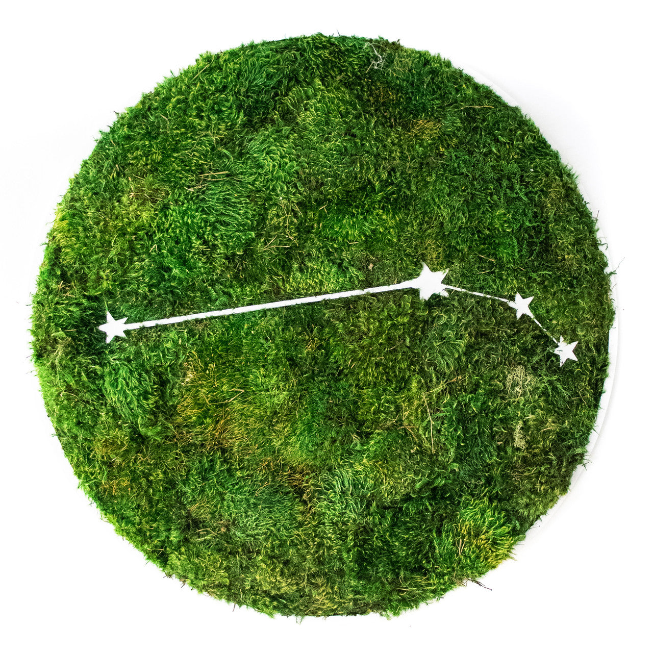 Zodiac Collection - Moss Constellations