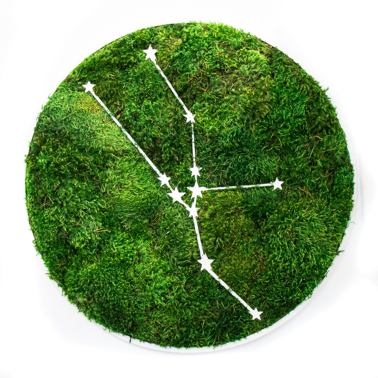Zodiac Collection - Moss Constellations