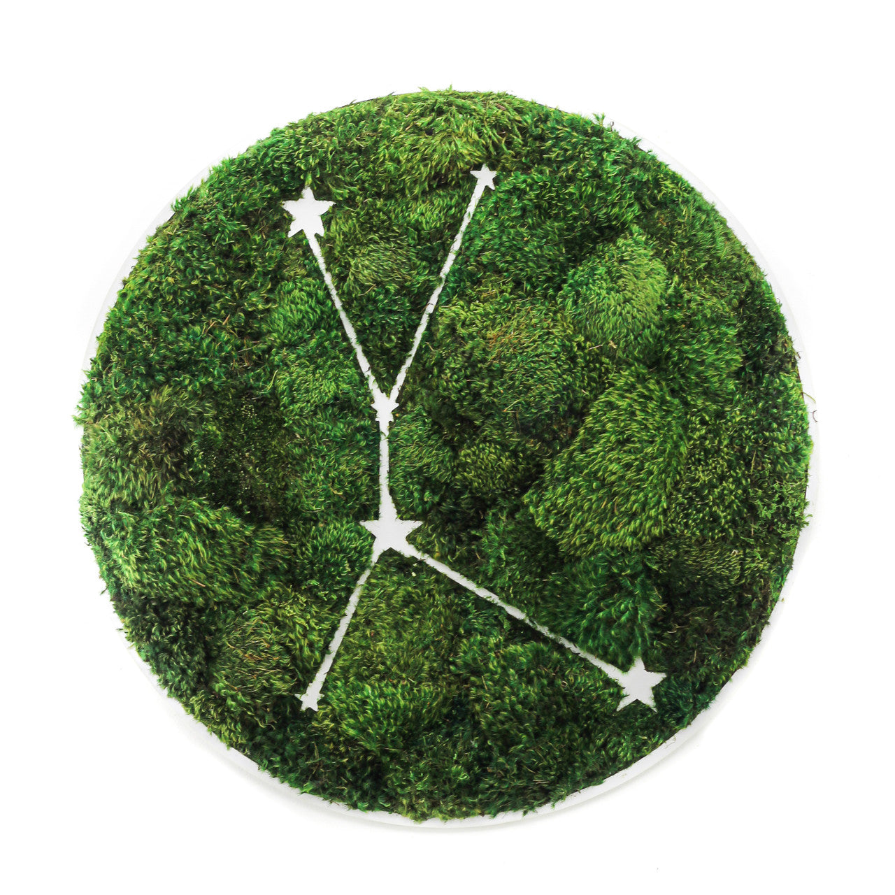Zodiac Collection - Moss Constellations