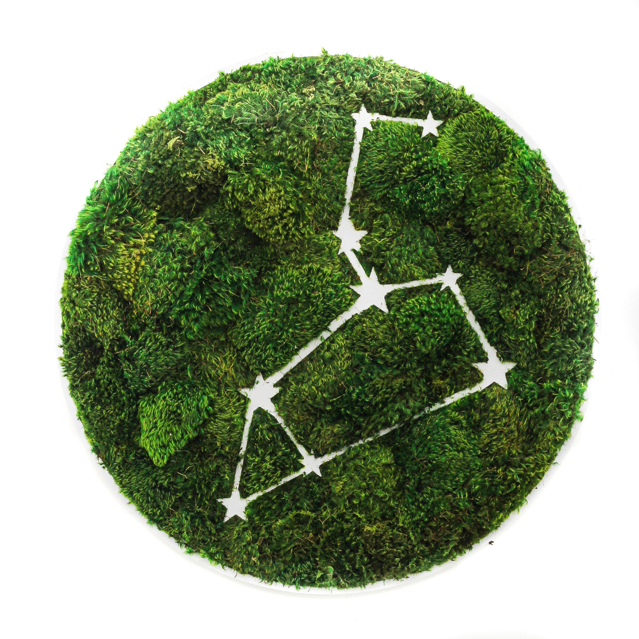 Zodiac Collection - Moss Constellations