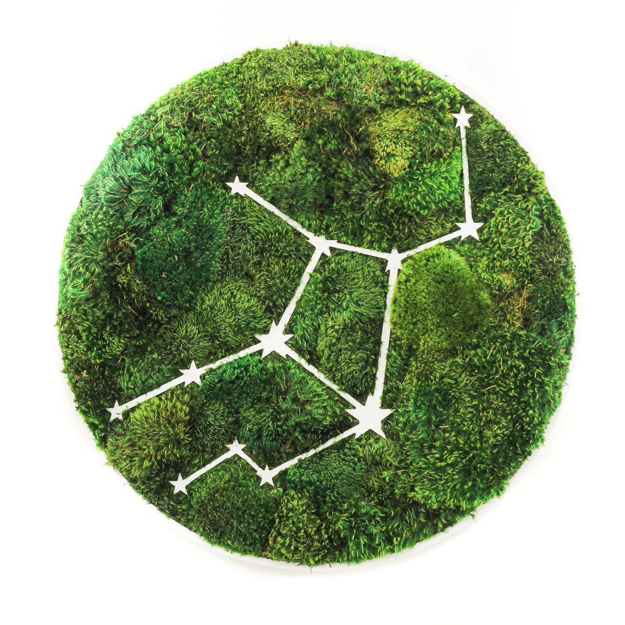Zodiac Collection - Moss Constellations