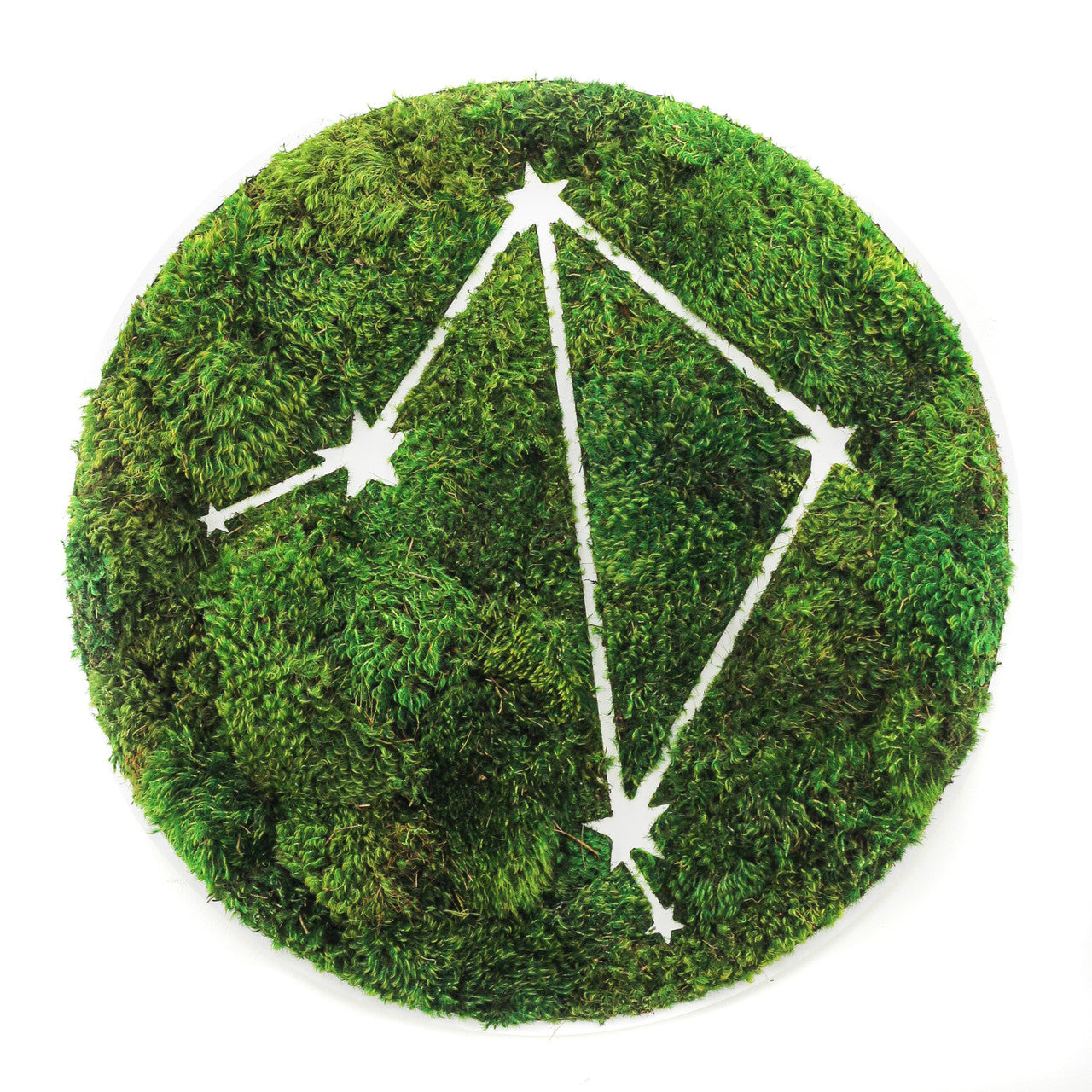 Zodiac Collection - Moss Constellations