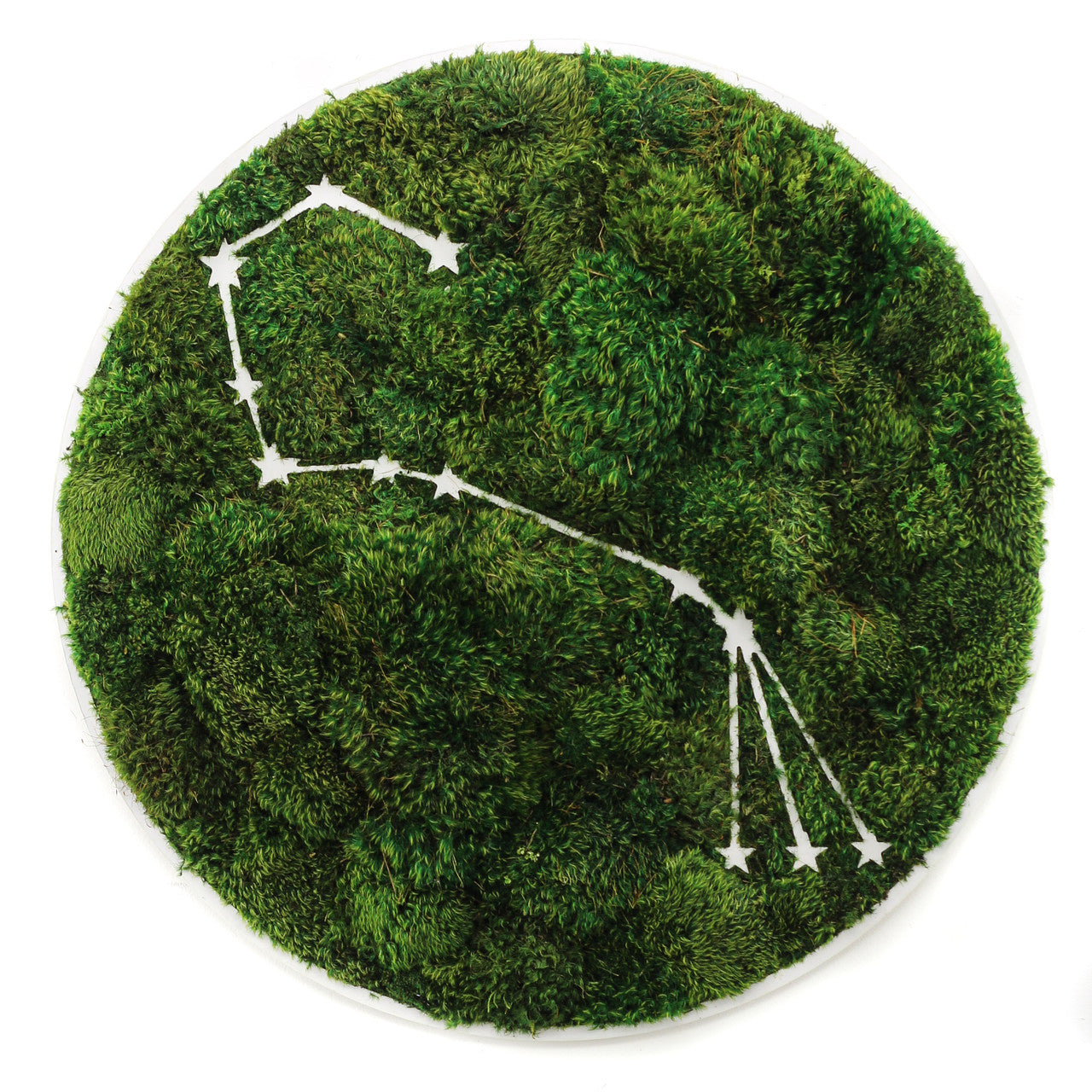 Zodiac Collection - Moss Constellations