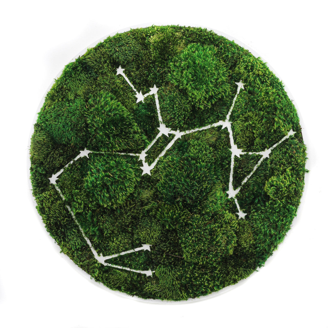 Zodiac Collection - Moss Constellations