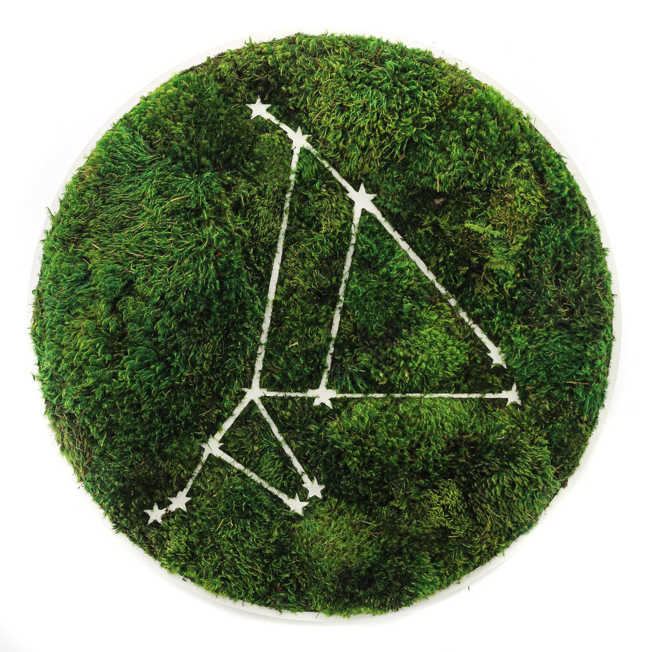 Zodiac Collection - Moss Constellations