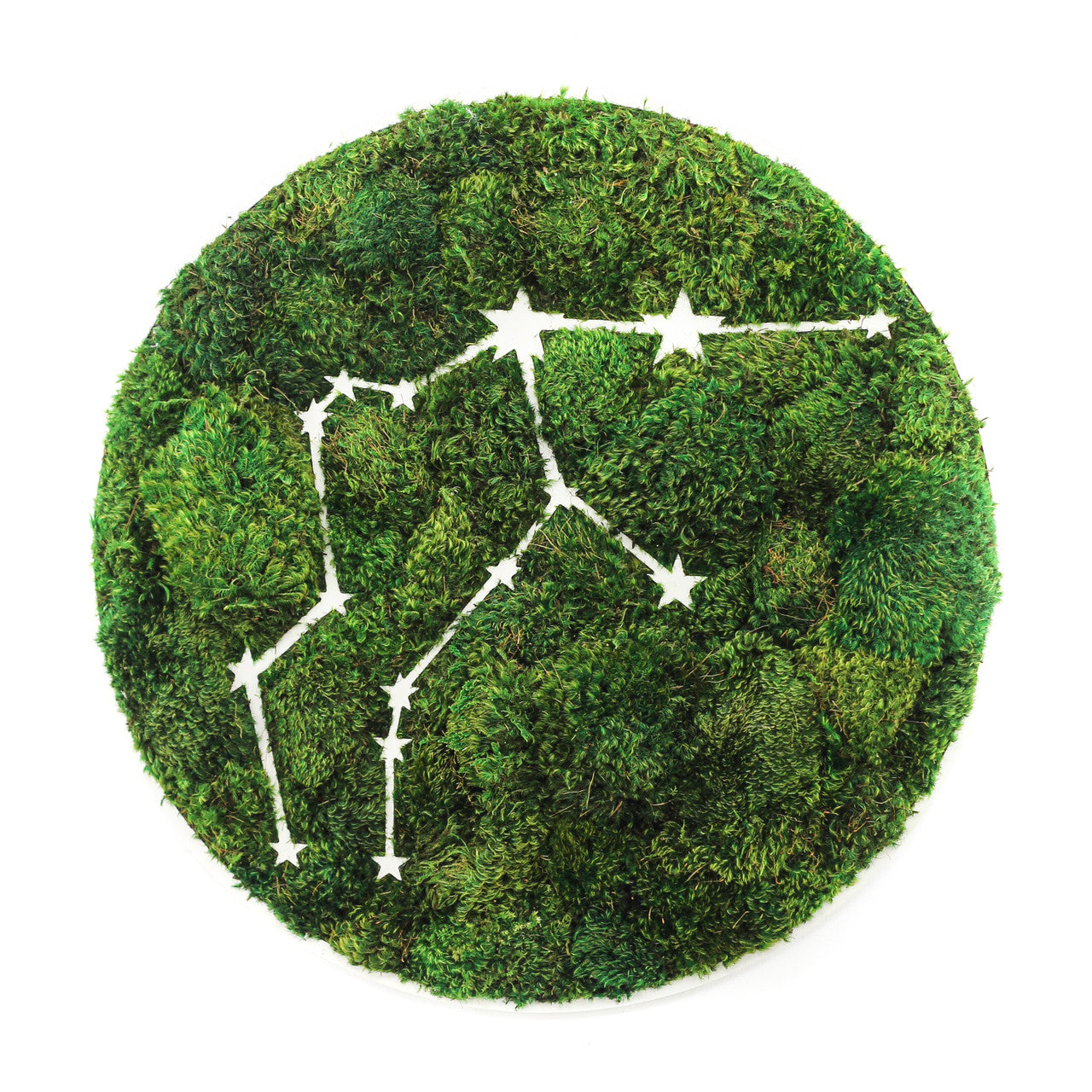 Zodiac Collection - Moss Constellations