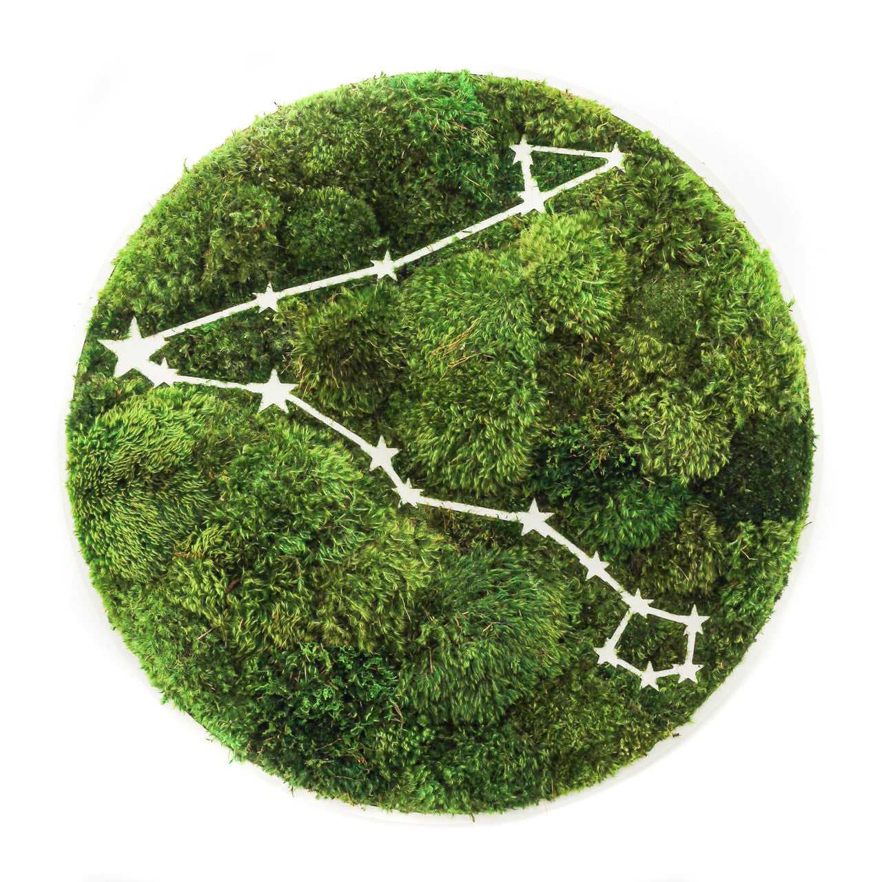 Zodiac Collection - Moss Constellations