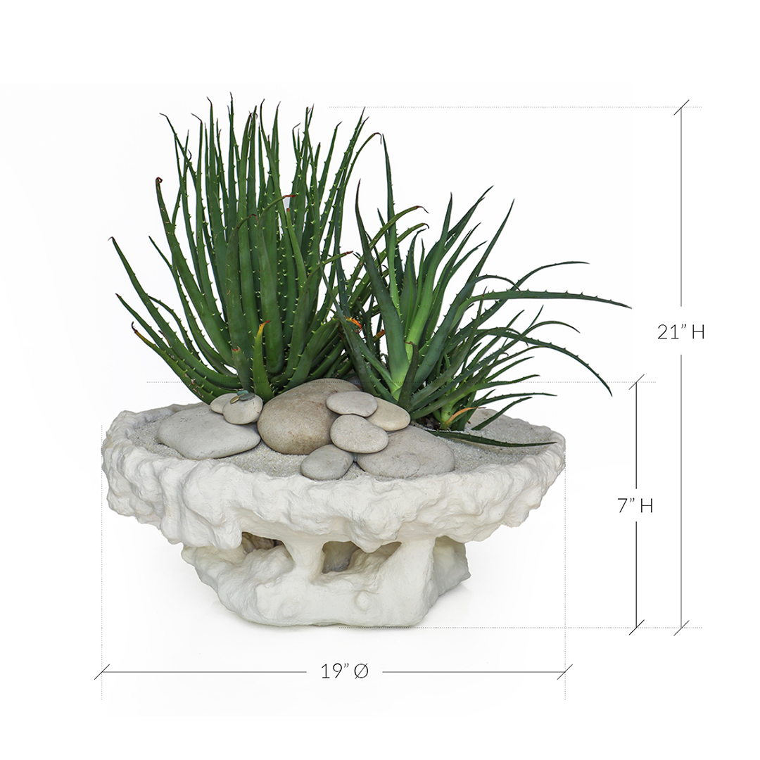 Julieta Teppa - One of a Kind White No.11 Round - Aloe Vera