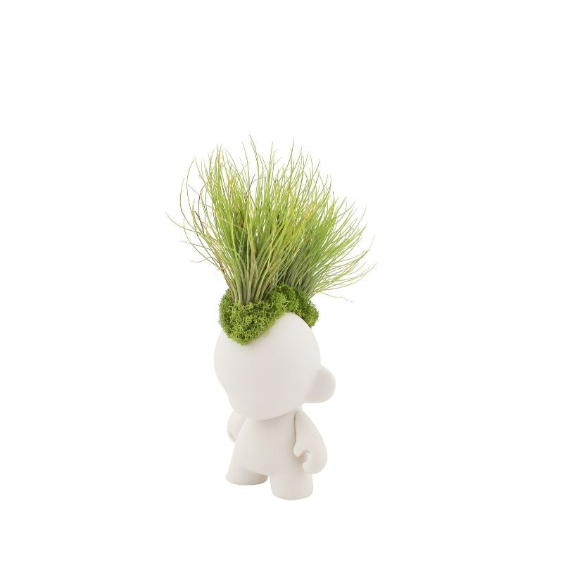 Munny Small Garden