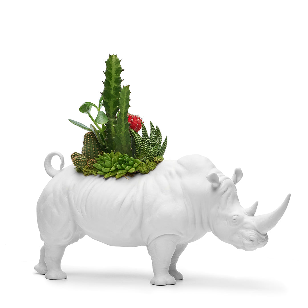 Lladró Porcelain - Rhino