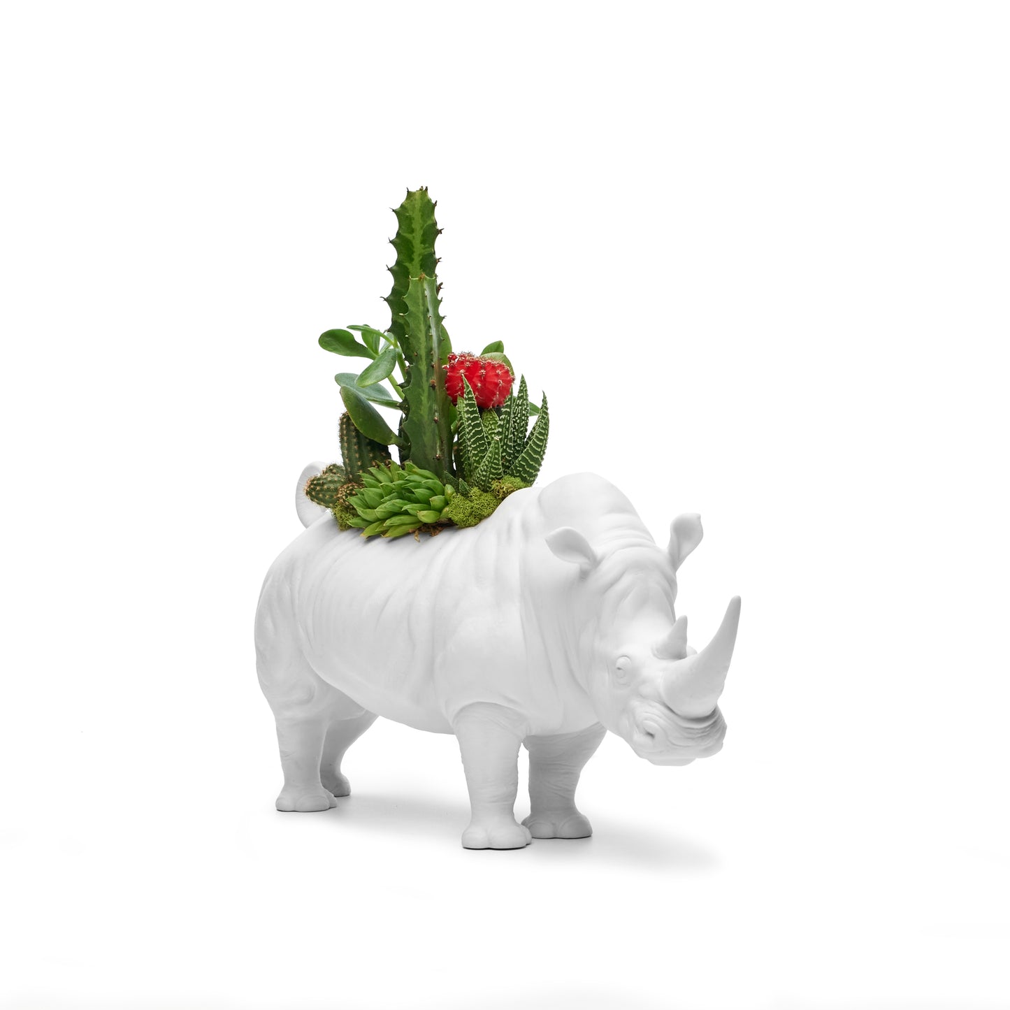 Lladró Porcelain - Rhino