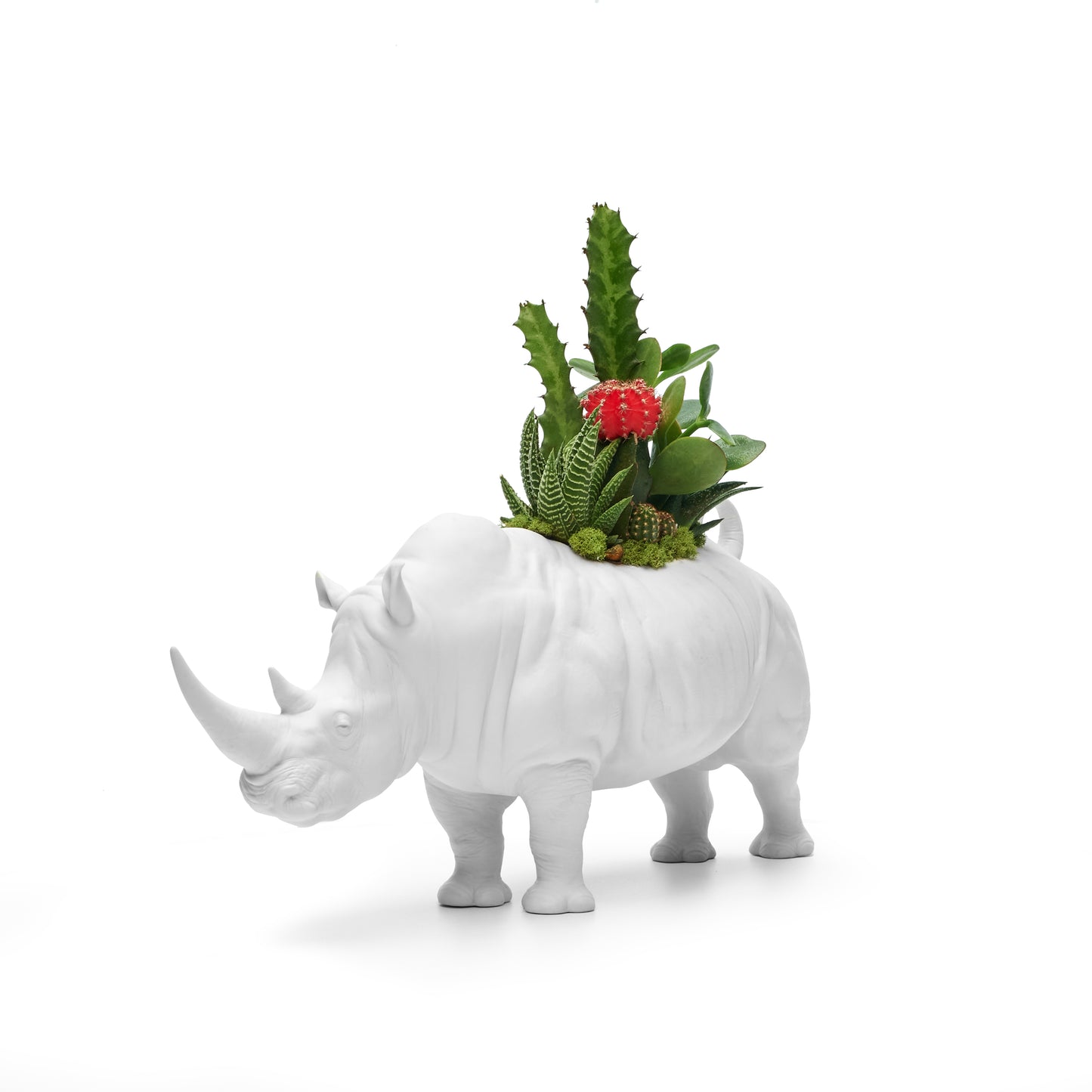 Lladró Porcelain - Rhino