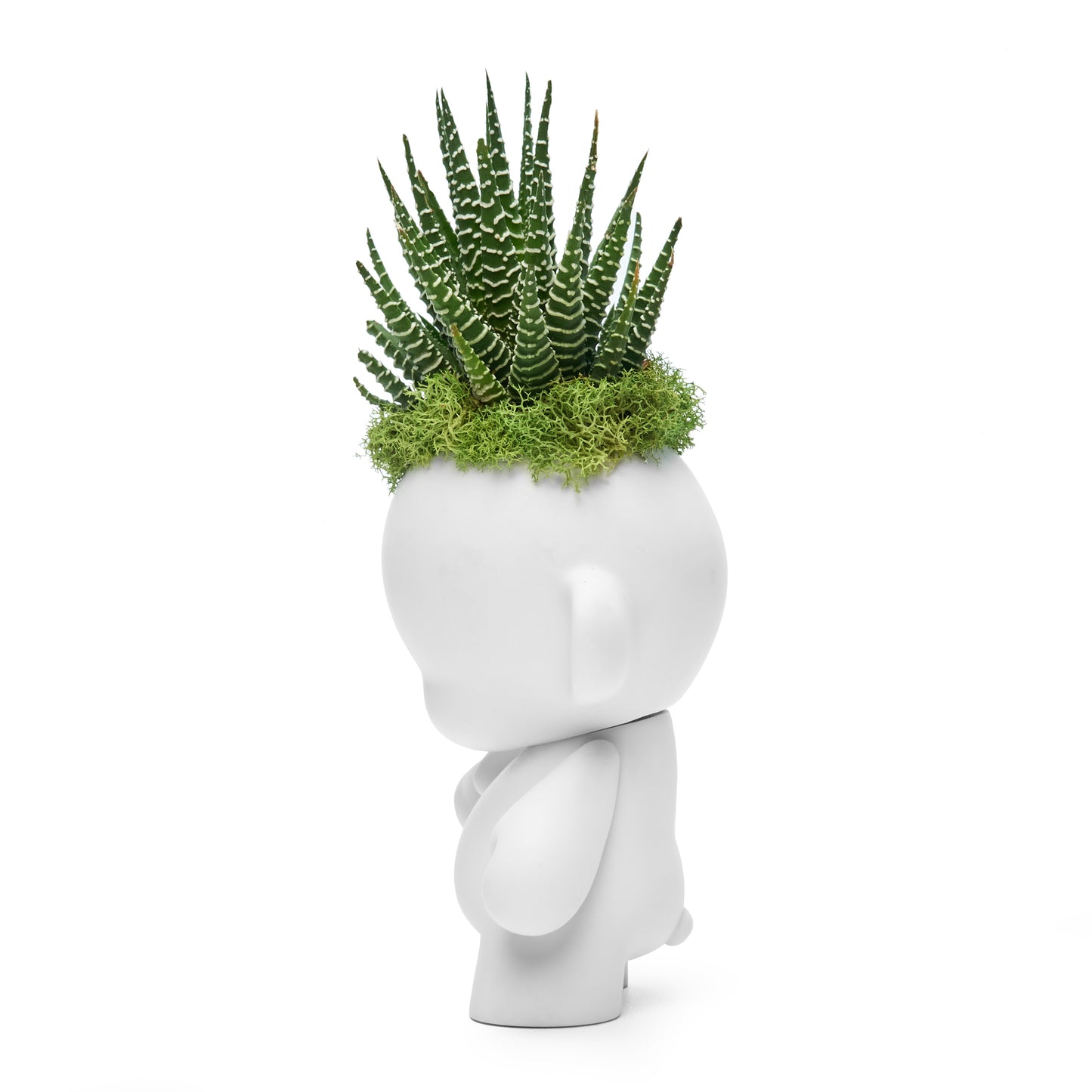 Munny Mini Garden