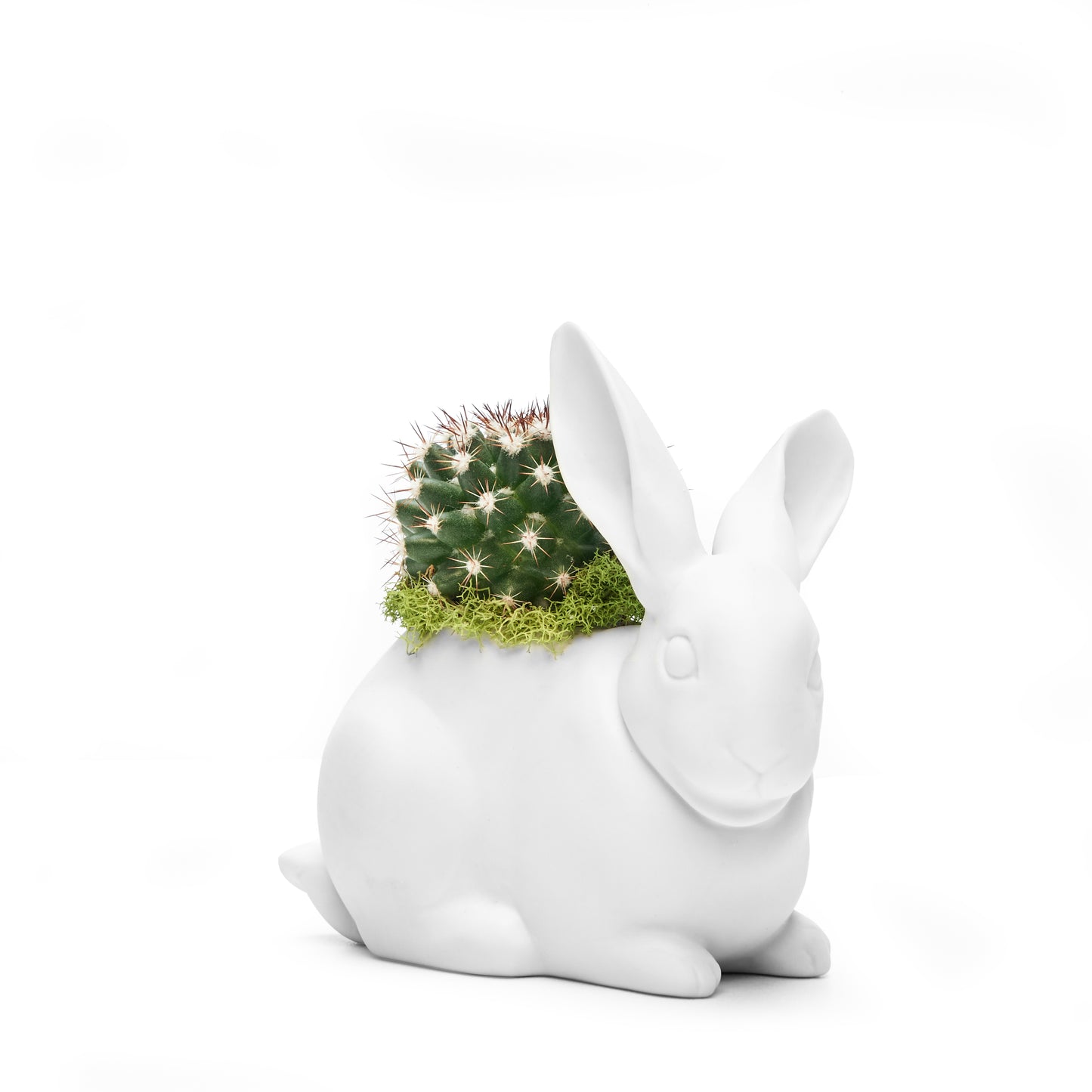 Lladró Porcelain - Bunny