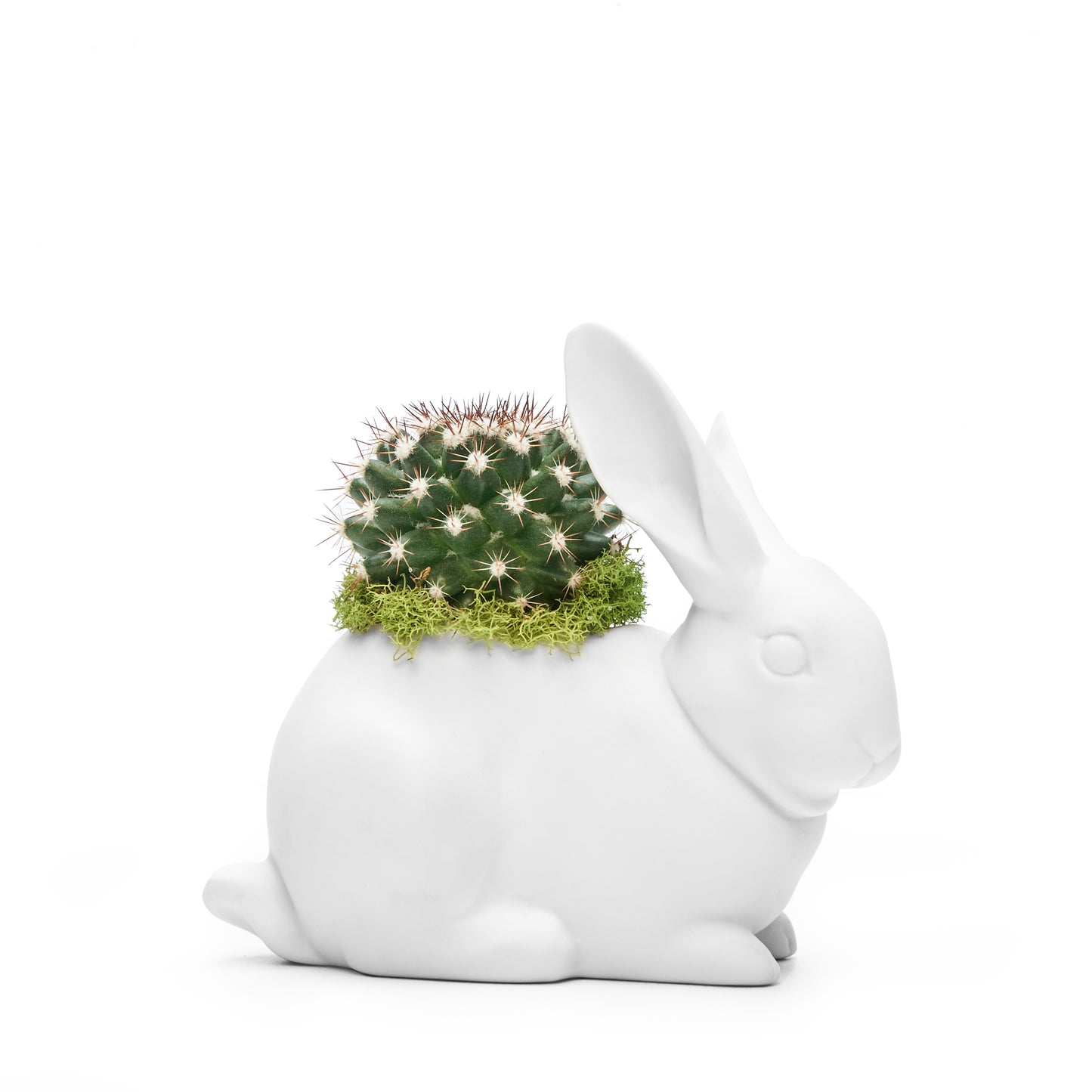 Lladró Porcelain - Bunny
