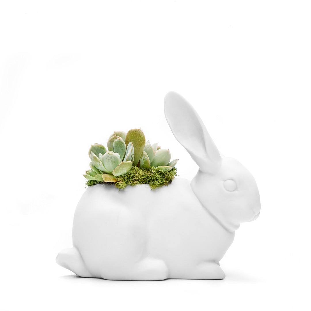 Lladró Porcelain - Bunny