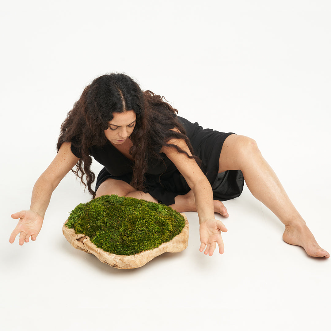 Natural Wood Low Bowl with Moss