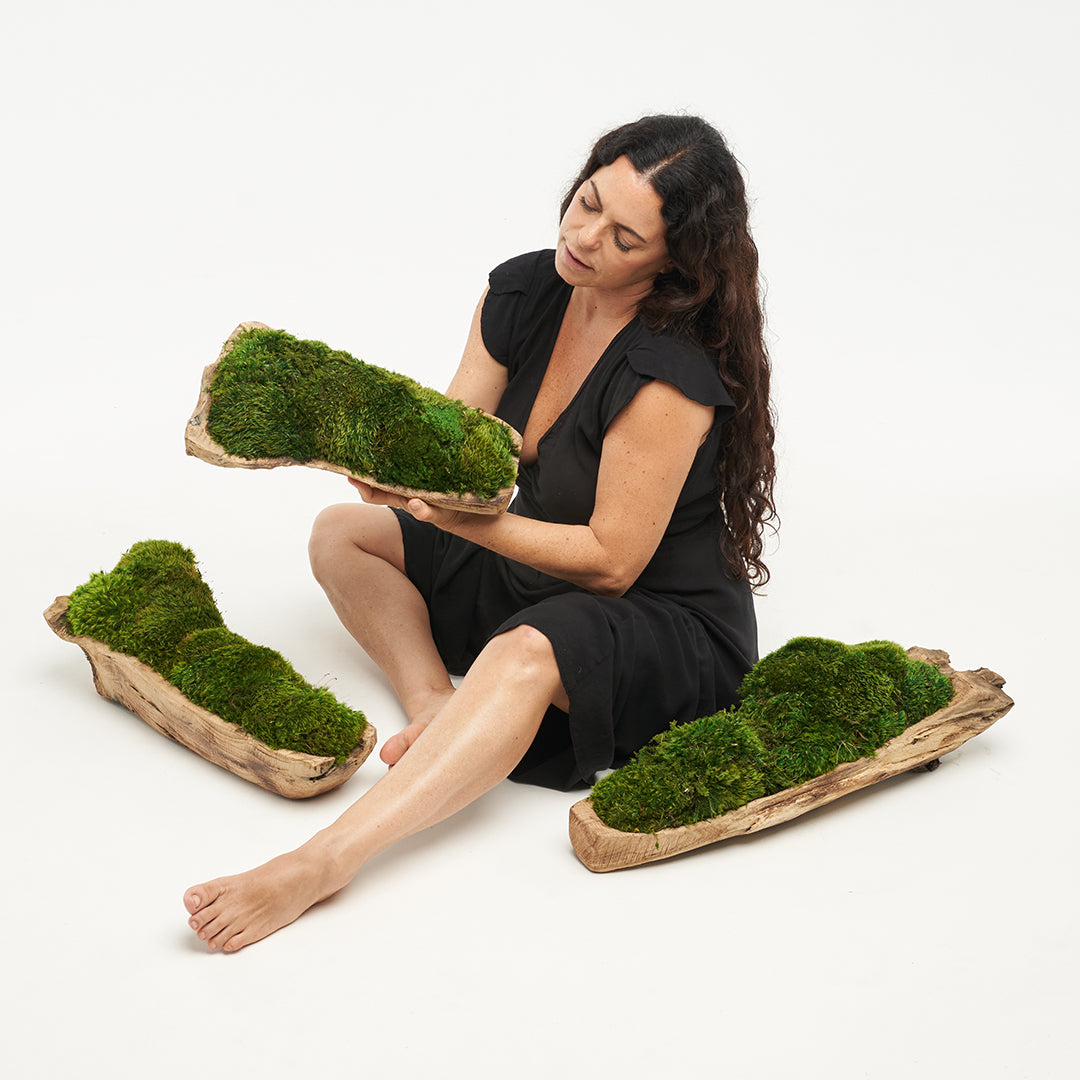 Natural Wood Trough with Moss
