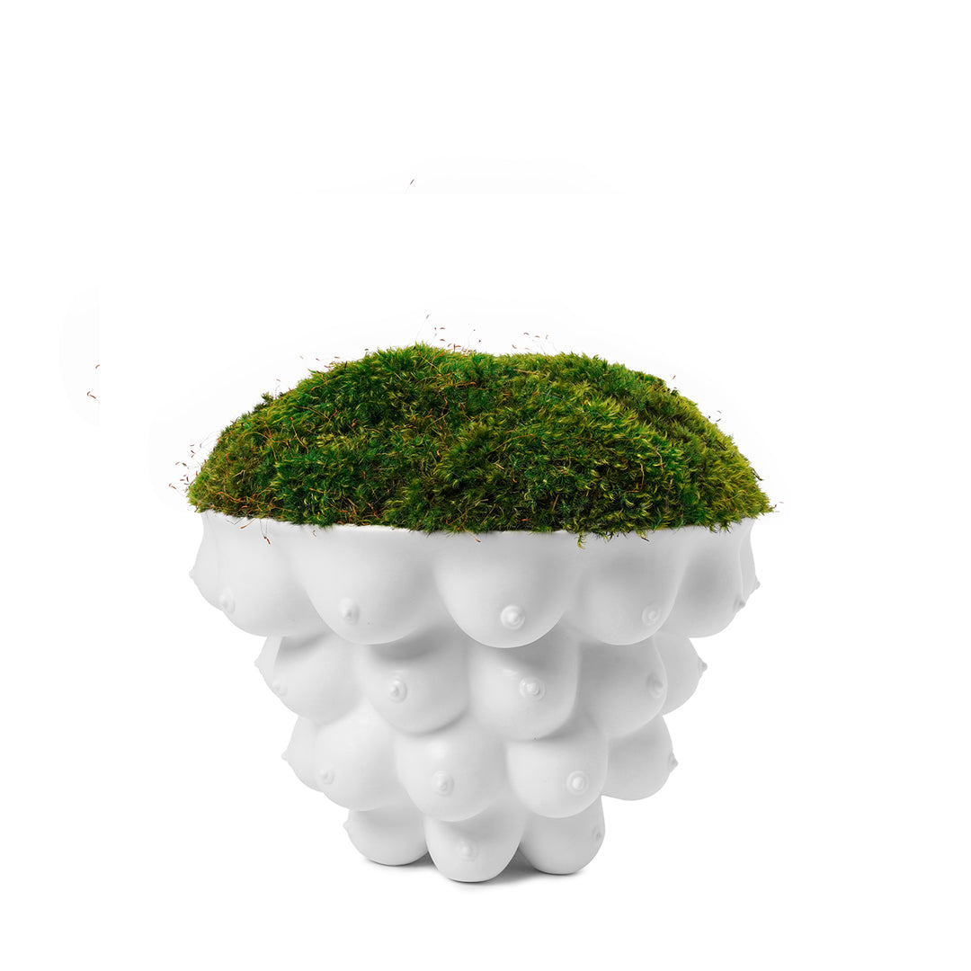 Jonathan Adler - Georgia Centerpiece Bowl