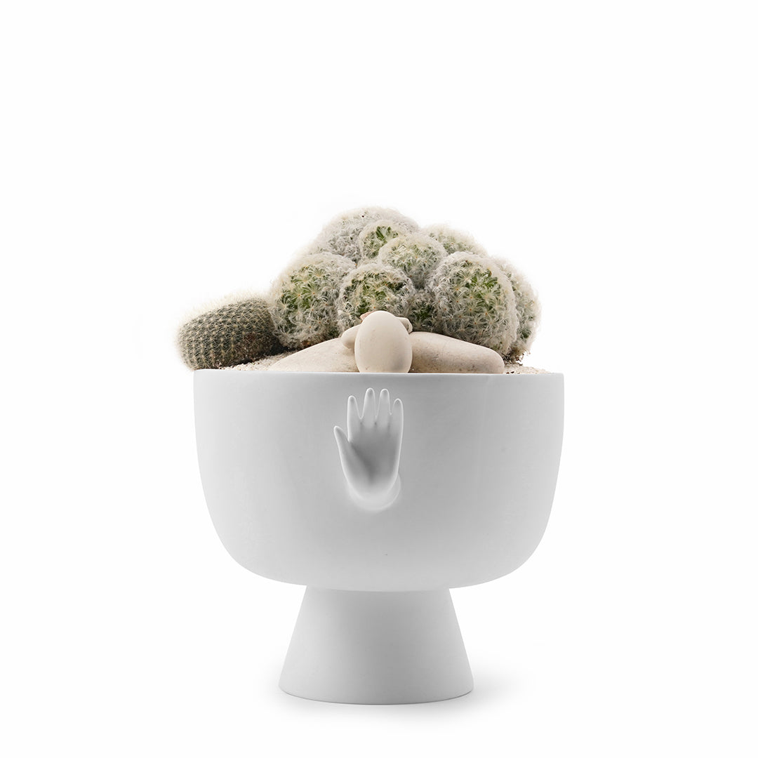 Jonathan Adler Porcelain - Eve Pedestal Bowl