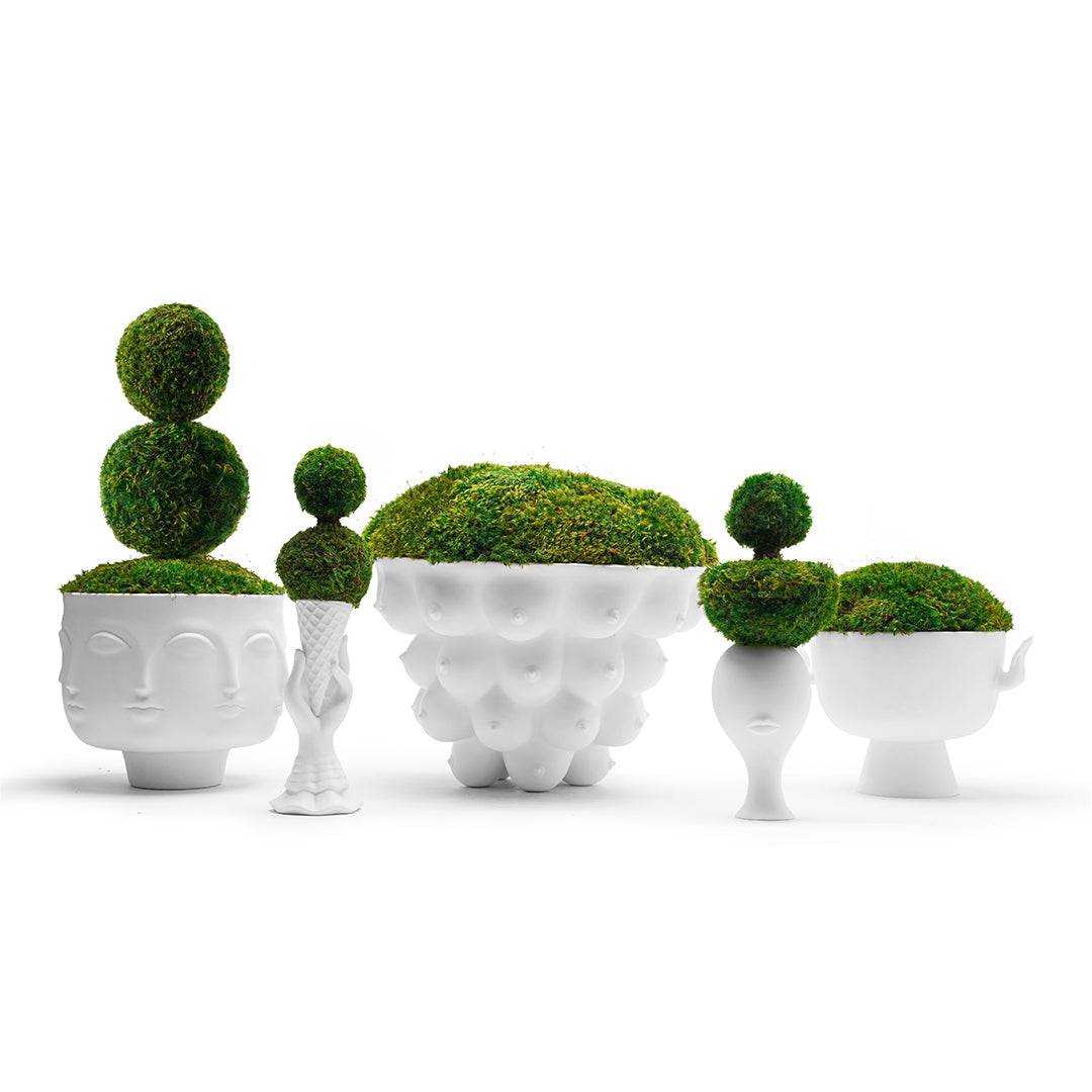 Jonathan Adler - Georgia Centerpiece Bowl