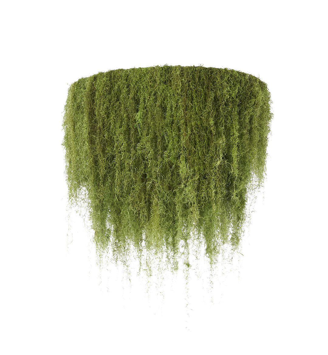 Moss Chandelier - 2 Tier