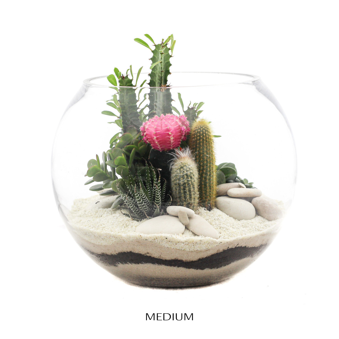 Fishbowl Terrarium - White