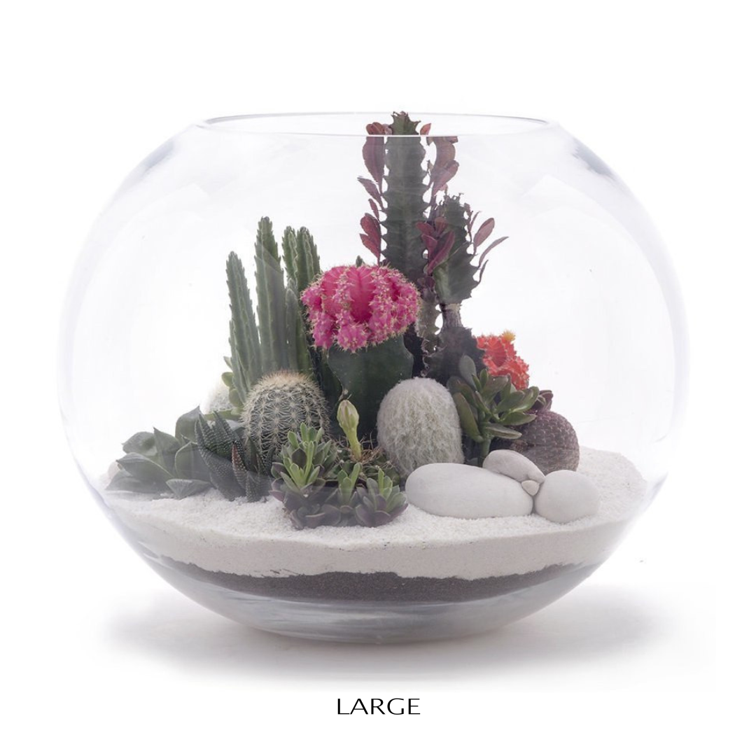 Fishbowl Terrarium - White