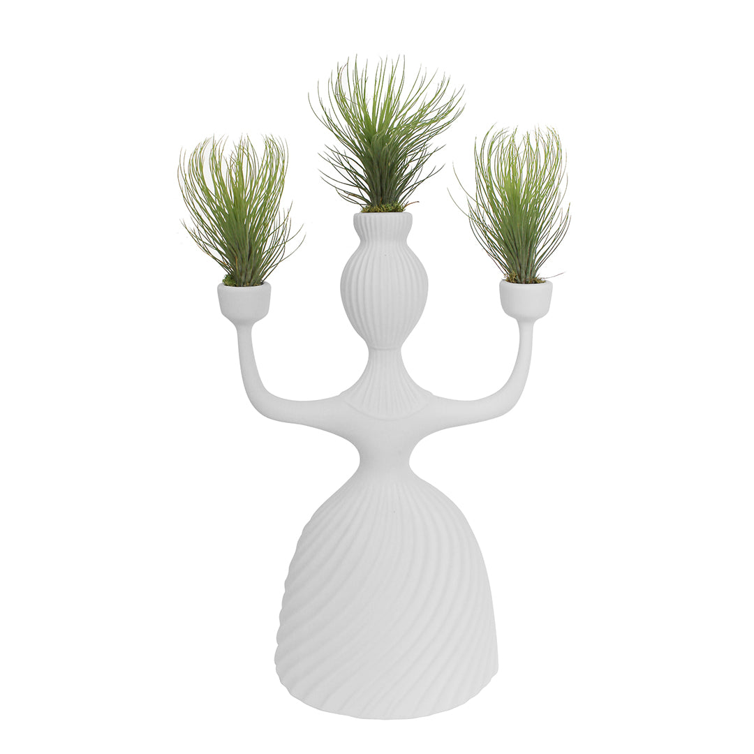 Jonathan Adler - Alba Candelabra (Andreana Airplants)