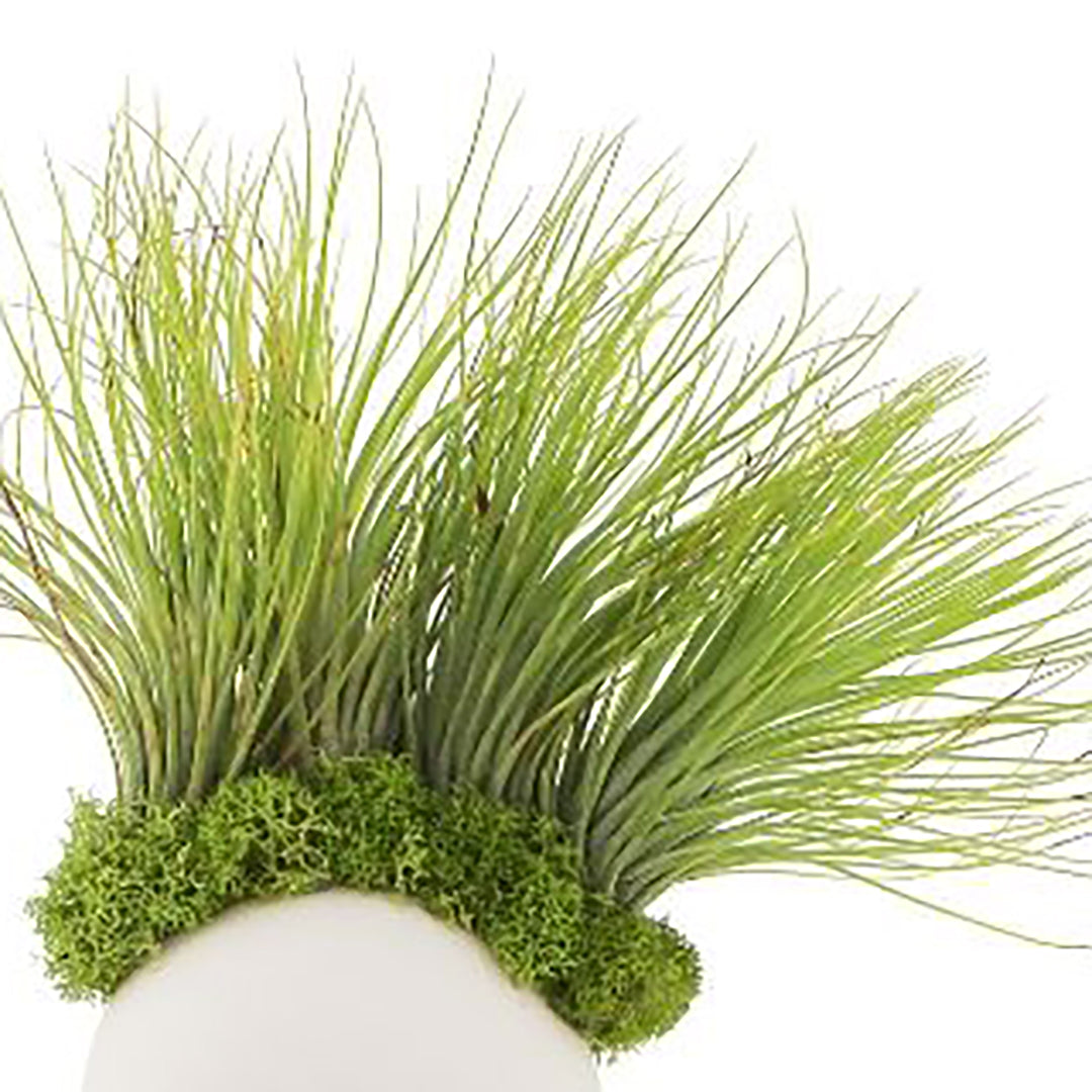 Munny Small Garden Plant the Future