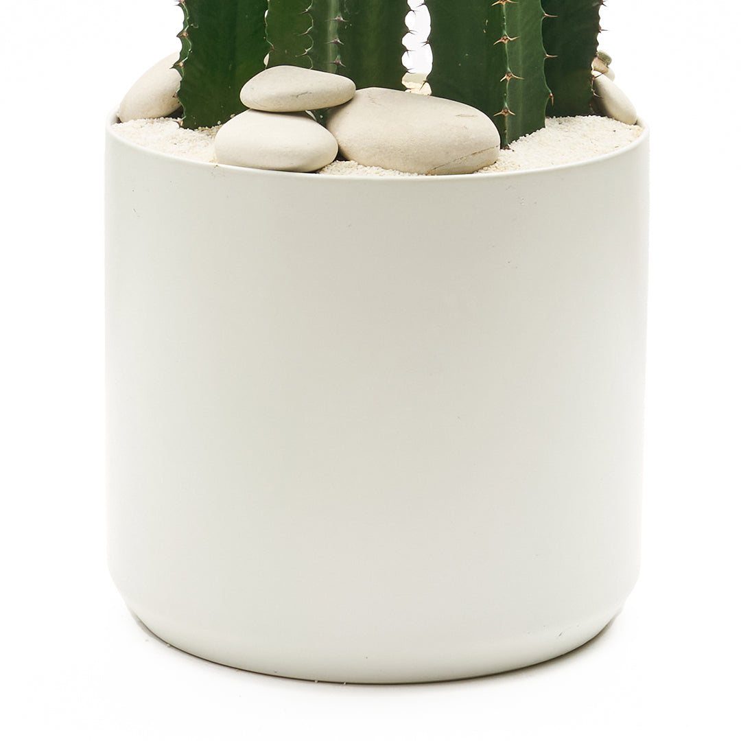 Ceramic Round White Large - Euphorbia Acruensis