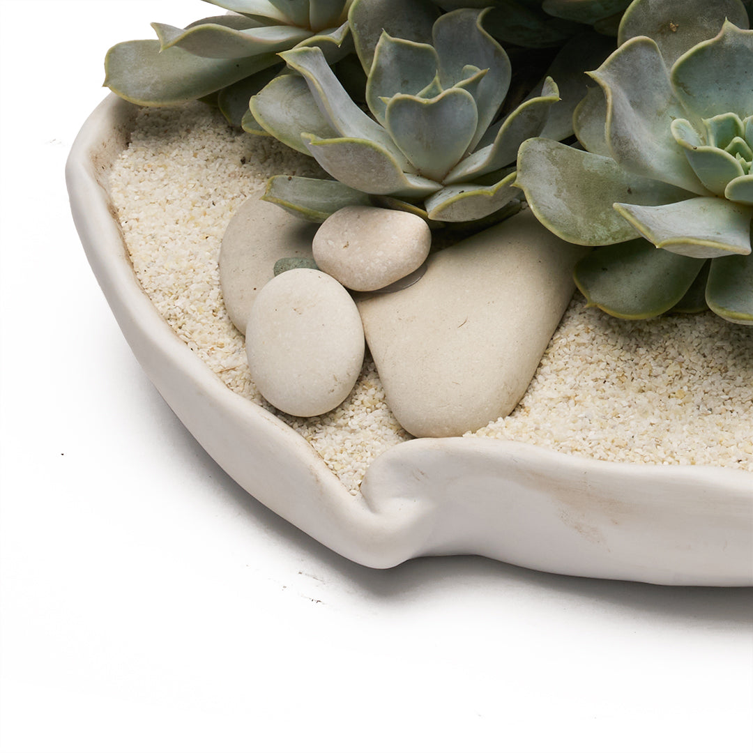 Ceramic Petale Bowl - Succulents