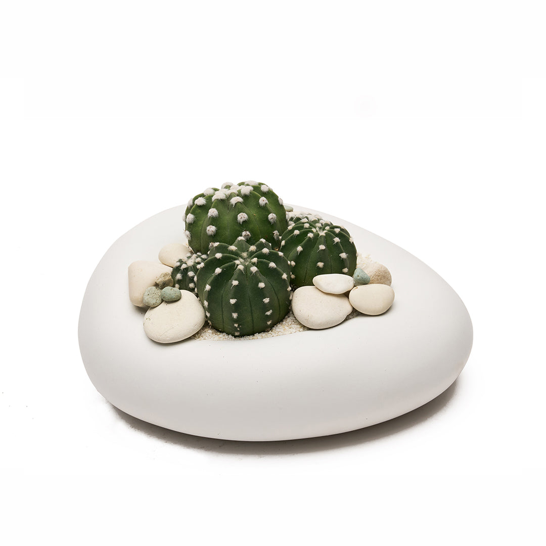 Ceramic Balloon Bowl White Low Garden