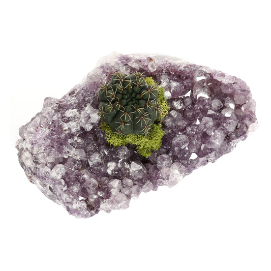 Amethyst Crystal Garden