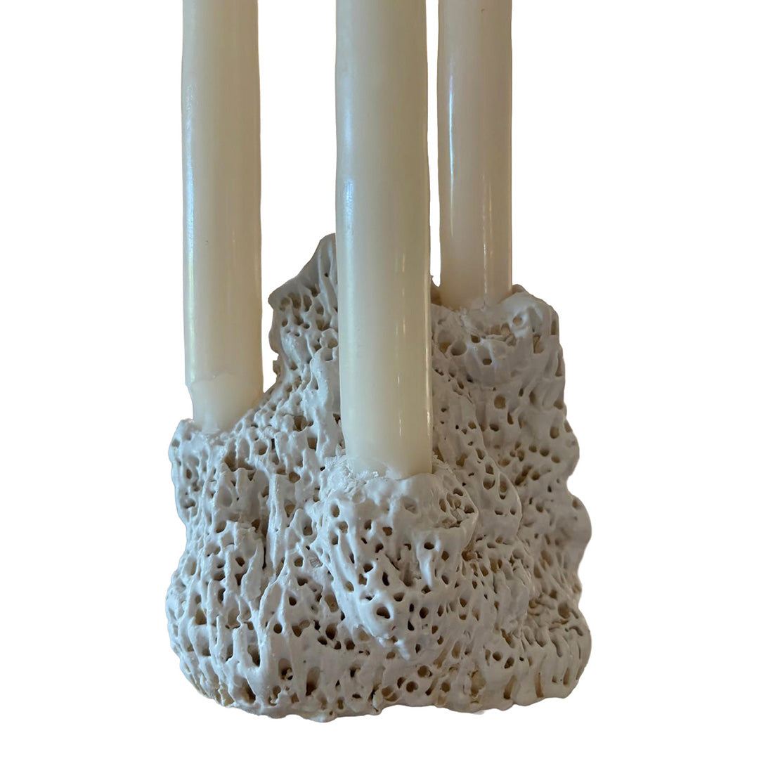 Coral Candle Holder 2 by Julieta Teppa