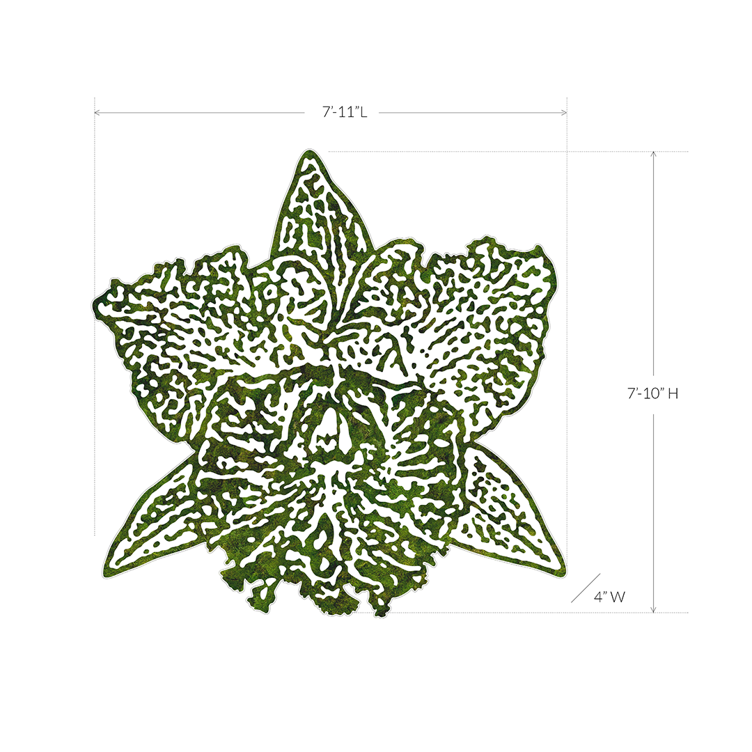 “Cattleya” (2024) Plant the Future