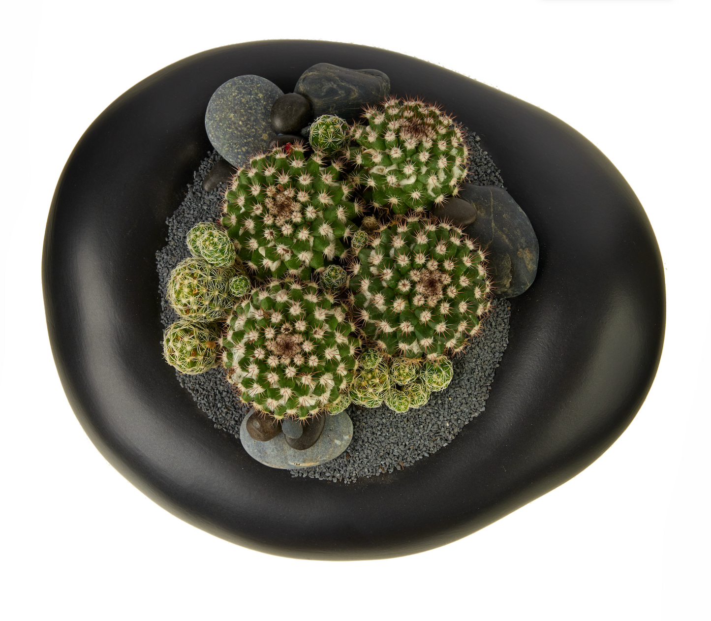Ceramic Balloon Bowl Low Garden PLANT THE FUTURE