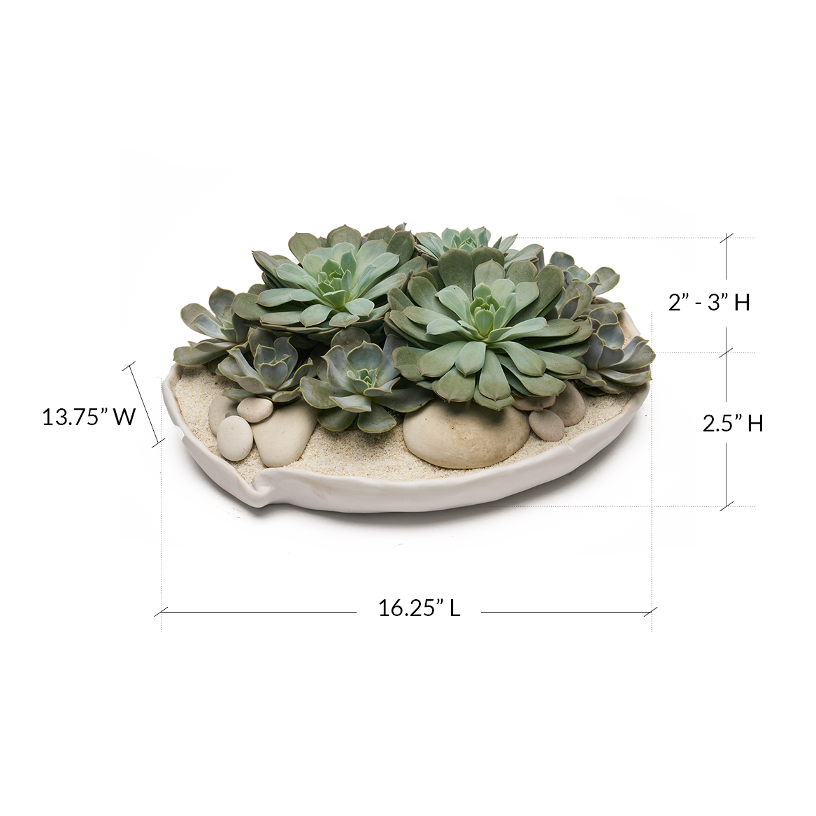 Ceramic Petale Bowl - Succulents