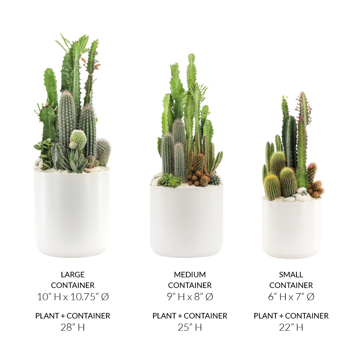 Round Ceramic White Large - Green Garden