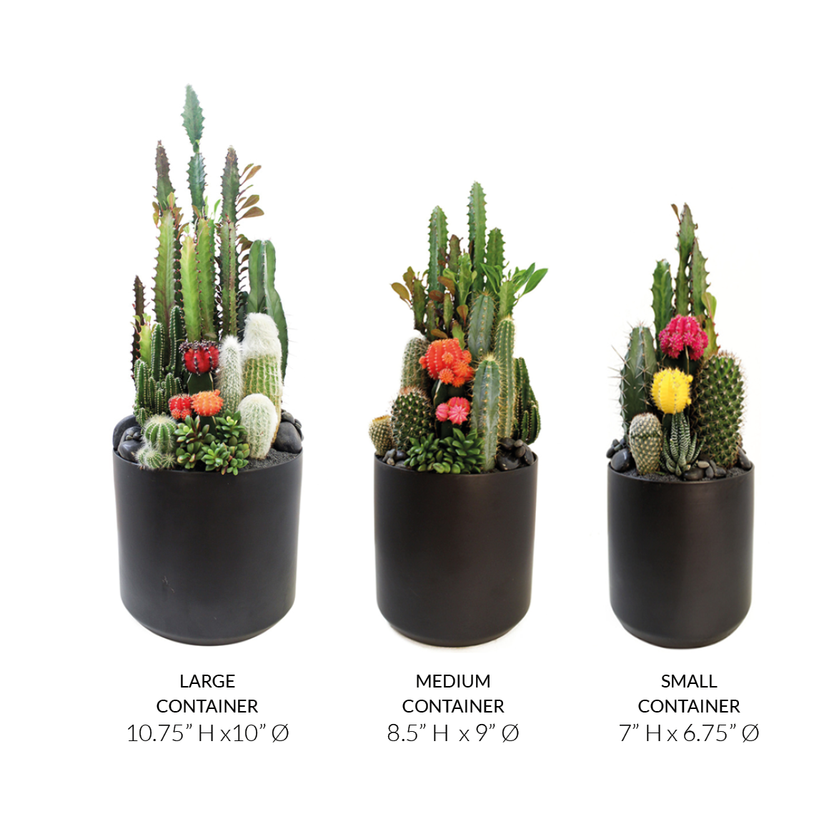 Ceramic Round Black - Rainbow Garden