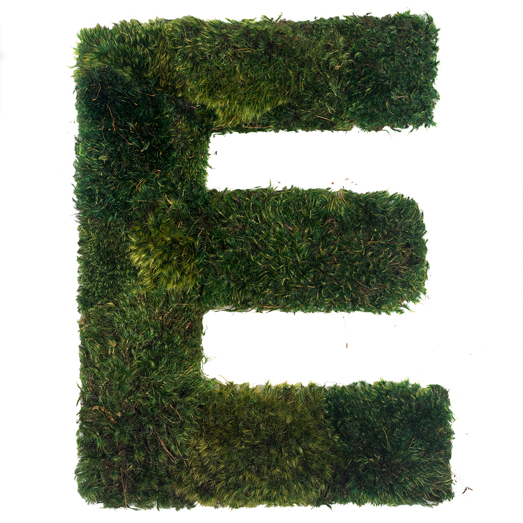 Moss Sign - "Love" Block Plant the Future